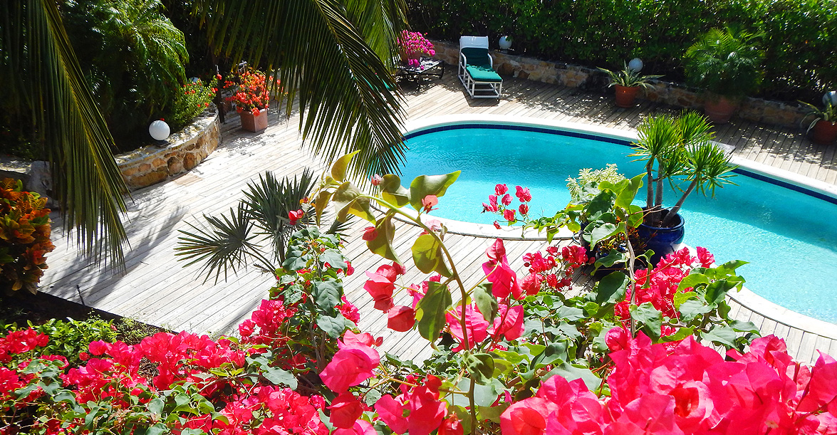 Dilly Crab Exuma - Swimming Pool