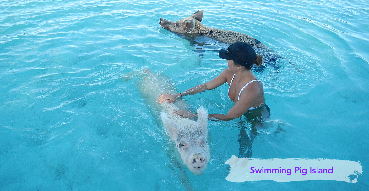 Dilly Crab Exuma - Swimming Pigs