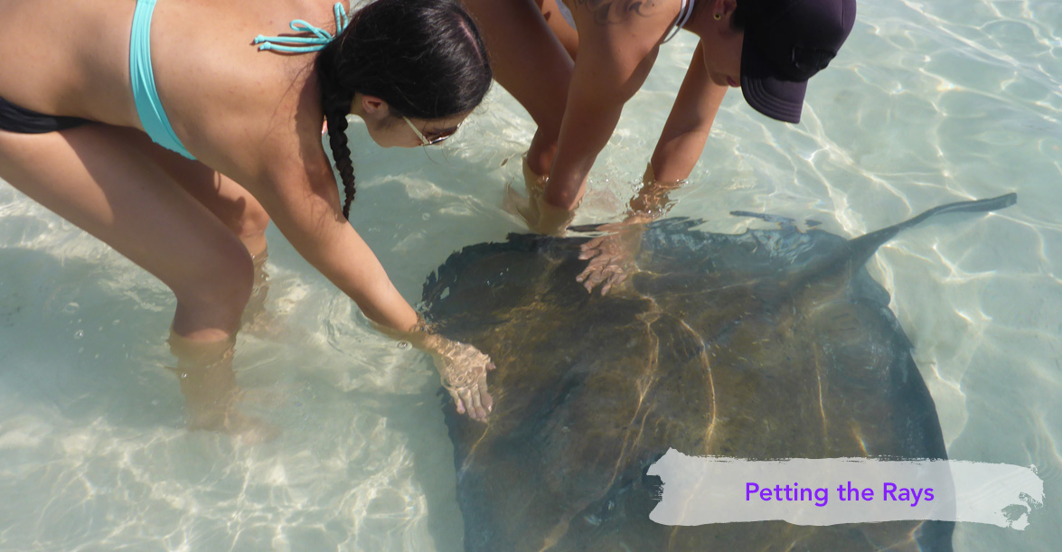 Dilly Crab Exuma - Stingray